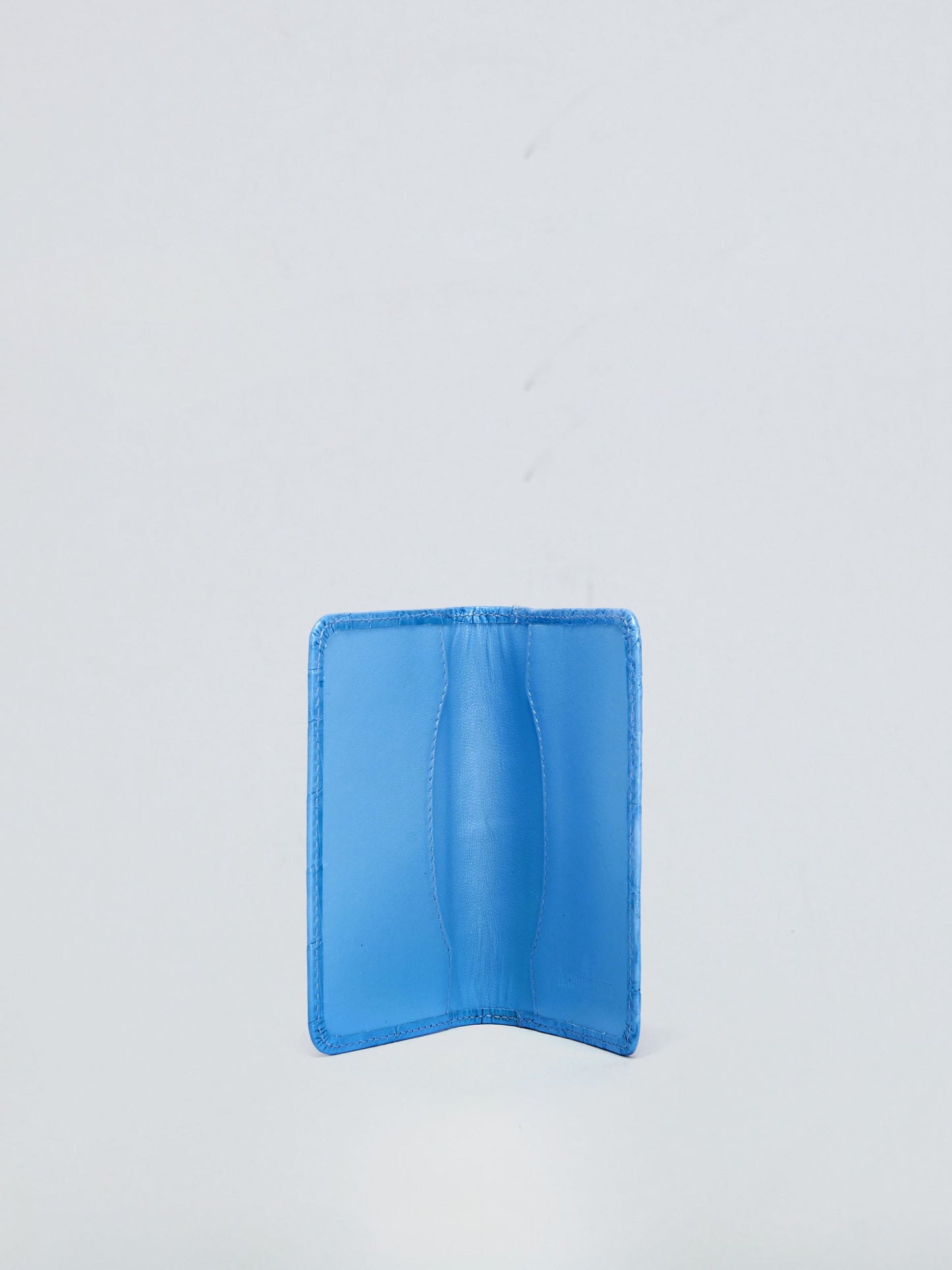 AUDEMARS PIGUET CROCODILE CARD WALLET